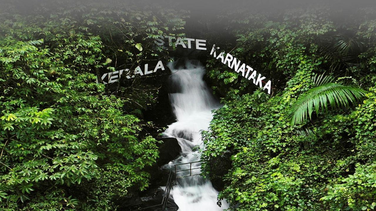 Holistic Stay Eco-Resort & Ayurvedic Retreat Paithalmala Eksteriør billede
