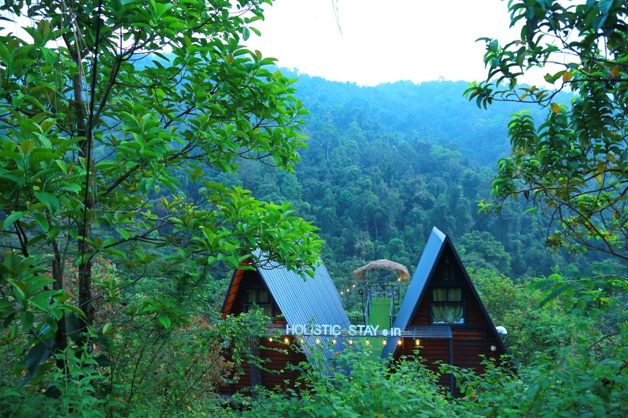 Holistic Stay Eco-Resort & Ayurvedic Retreat Paithalmala Eksteriør billede