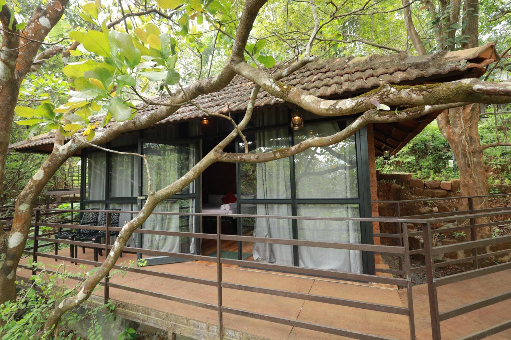 Holistic Stay Eco-Resort & Ayurvedic Retreat Paithalmala Eksteriør billede